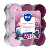 Podgrzewacz 18 szt p15-18-314 Bispol Frozen Beries