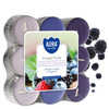 Podgrzewacz 18 szt p15-13 Bispol - Forest fruits