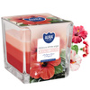 Świeca w szkle SNK80-356 Bispol - Hibiscus sage