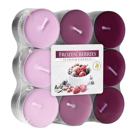 Podgrzewacz 18 szt p15-18-314 Bispol Frozen Beries