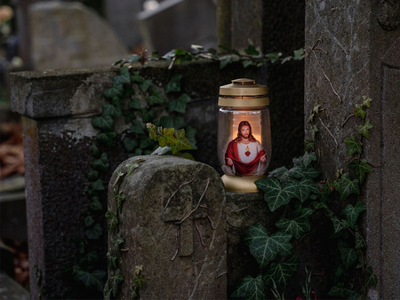 ZNICZ 3D S 15 Magnolia SIL Bolsius (6szt)