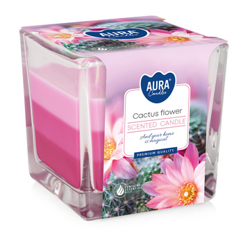 Świeca w szkle SNK80-312 Bispol - Cactus flower