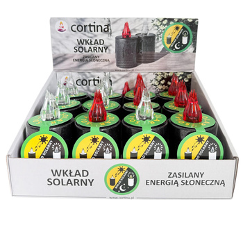 Wkład LED solarny 1/24/WSC 12szt mix 11,5x5,5cm