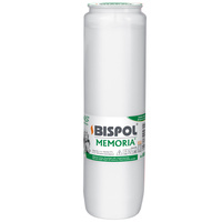 Wkład olejowy WO-6 Bispol (24szt)