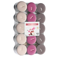 Podgrzewacz 30 szt p15-30-254 Bispol - Spa garden